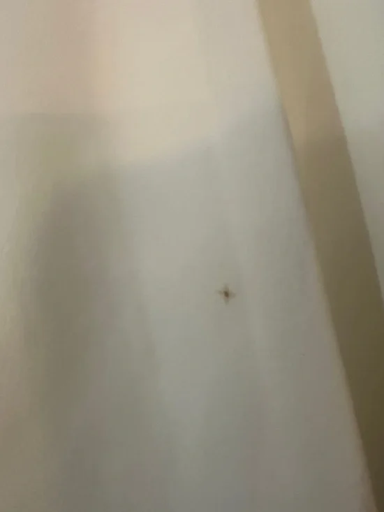 NEW Johnny Was CALME White Endurance Tennis Skirt Skort with Striped Waistband L - Picture 4 of 16